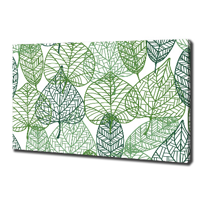 Tableau photo sur toile Motif des feuilles vertes