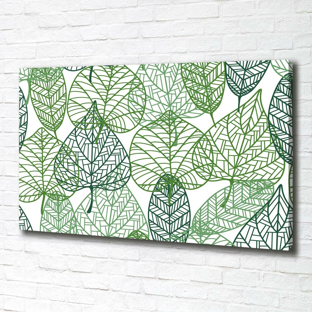 Tableau photo sur toile Motif des feuilles vertes