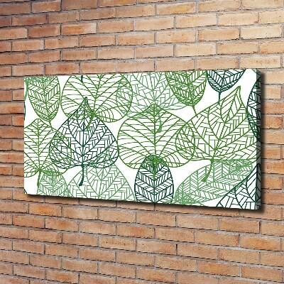 Tableau photo sur toile Motif des feuilles vertes