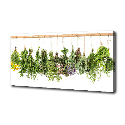 Tableau toile imprimée Herbes sur une ficelle