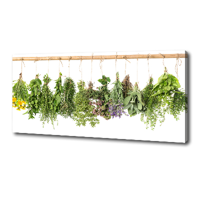 Tableau toile imprimée Herbes sur une ficelle