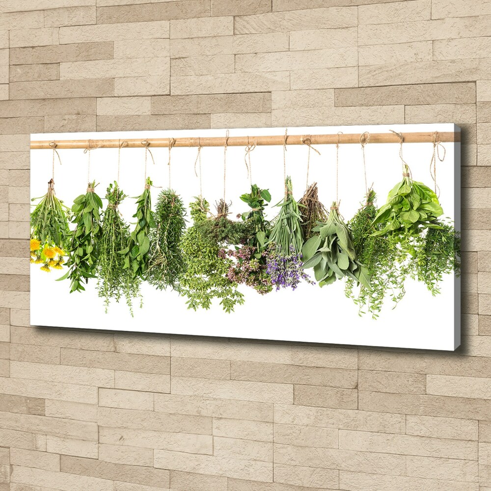 Tableau toile imprimée Herbes sur une ficelle