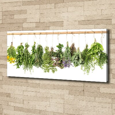 Tableau toile imprimée Herbes sur une ficelle