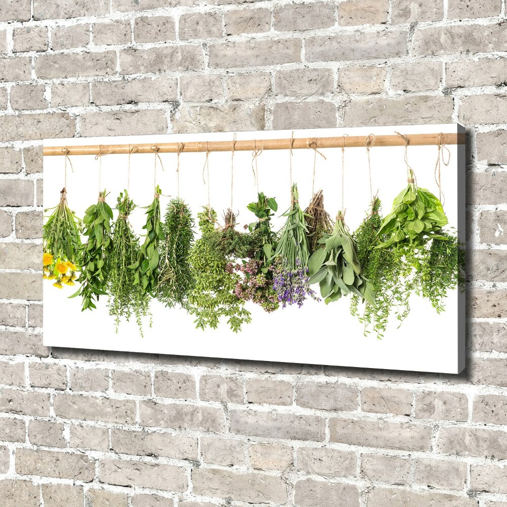 Tableau toile imprimée Herbes sur une ficelle