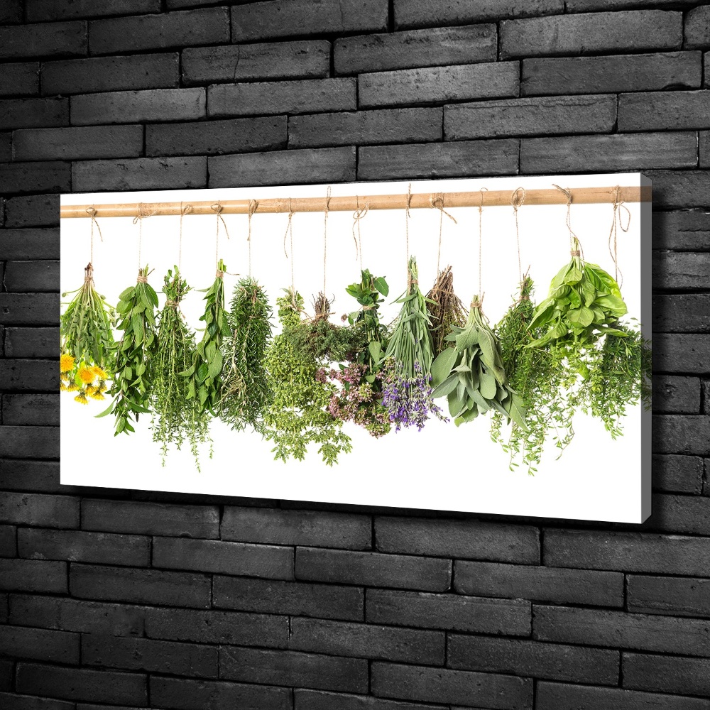 Tableau toile imprimée Herbes sur une ficelle