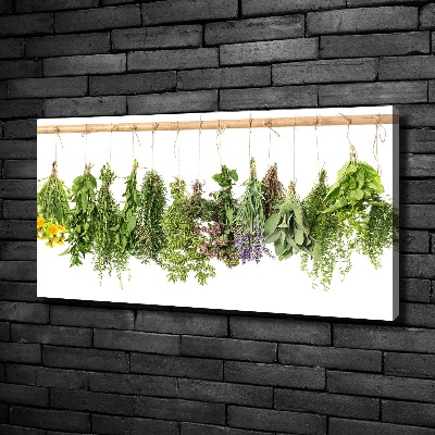 Tableau toile imprimée Herbes sur une ficelle