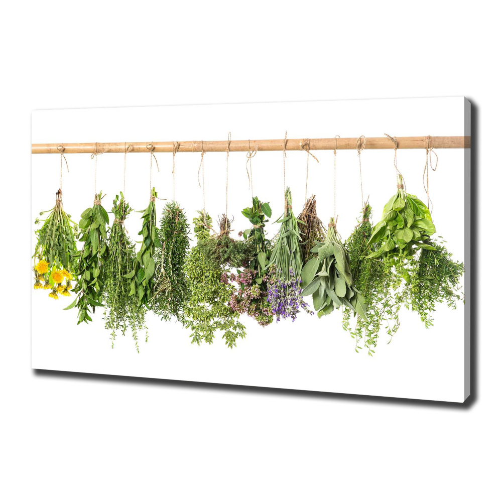 Tableau toile imprimée Herbes sur une ficelle