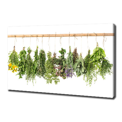 Tableau toile imprimée Herbes sur une ficelle