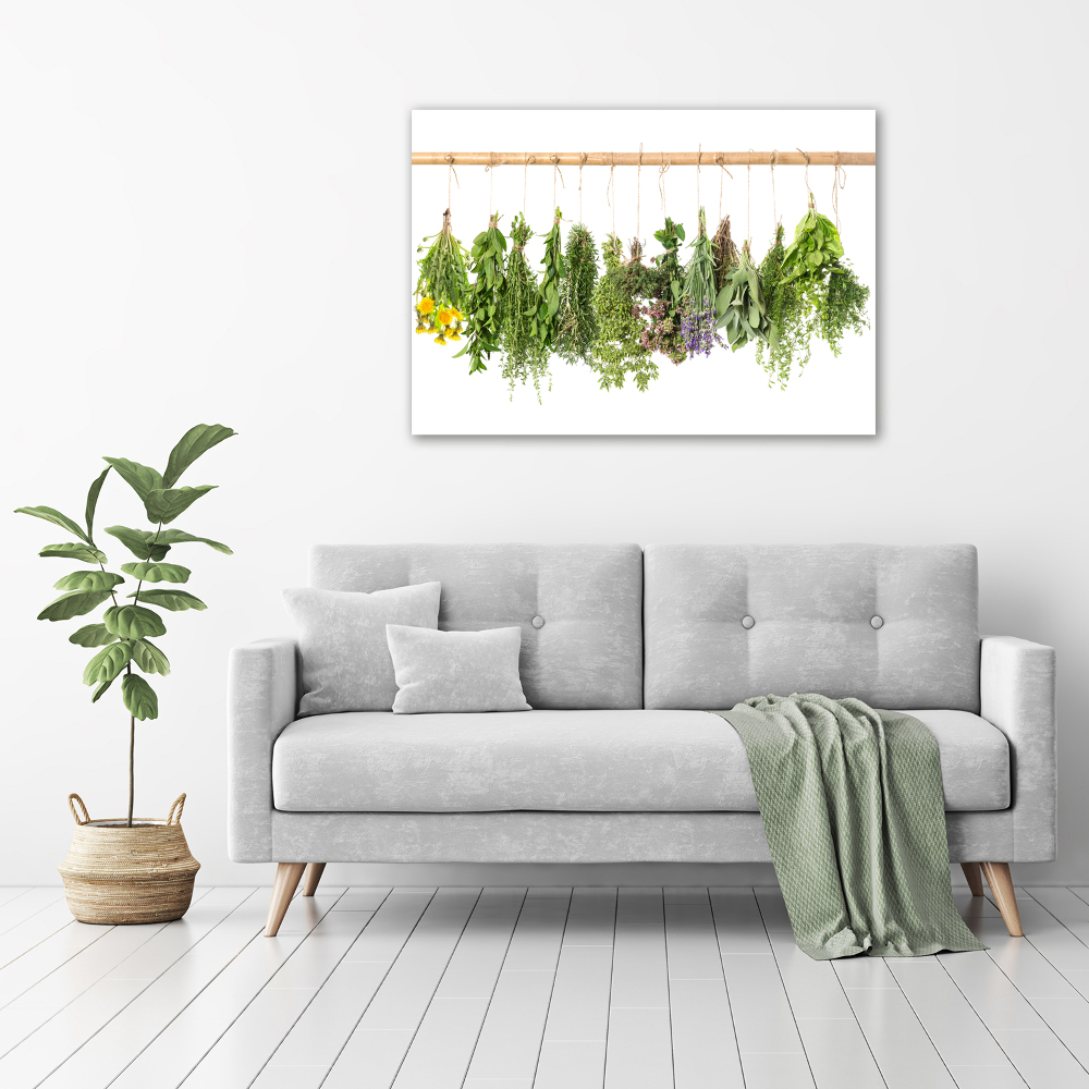 Tableau toile imprimée Herbes sur une ficelle