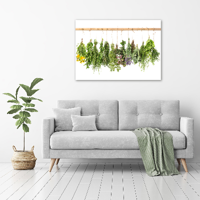 Tableau toile imprimée Herbes sur une ficelle