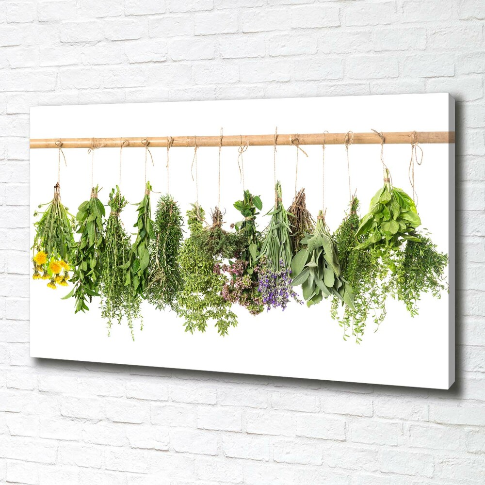 Tableau toile imprimée Herbes sur une ficelle