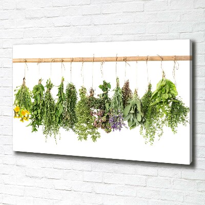 Tableau toile imprimée Herbes sur une ficelle