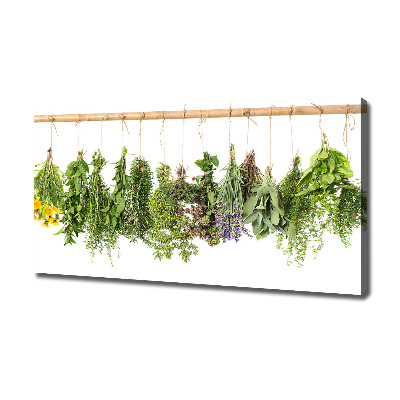 Tableau toile imprimée Herbes sur une ficelle