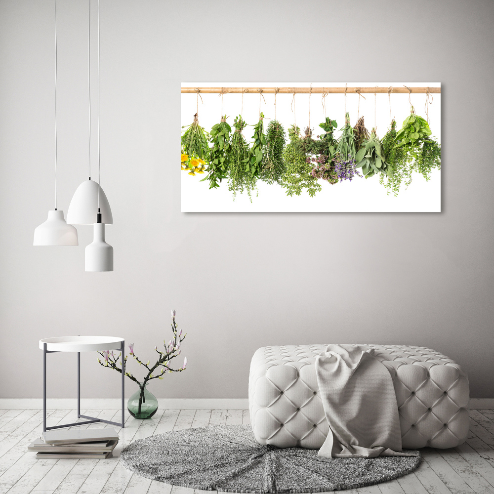 Tableau toile imprimée Herbes sur une ficelle