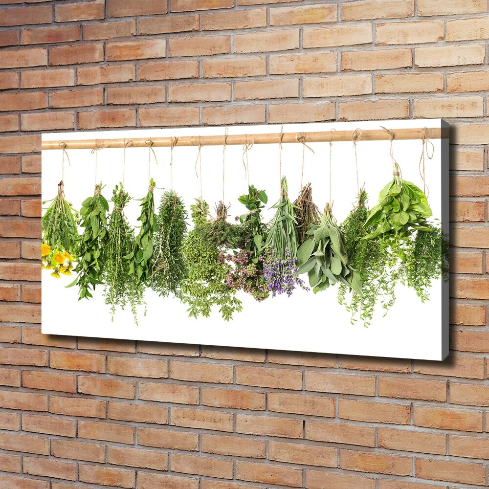 Tableau toile imprimée Herbes sur une ficelle