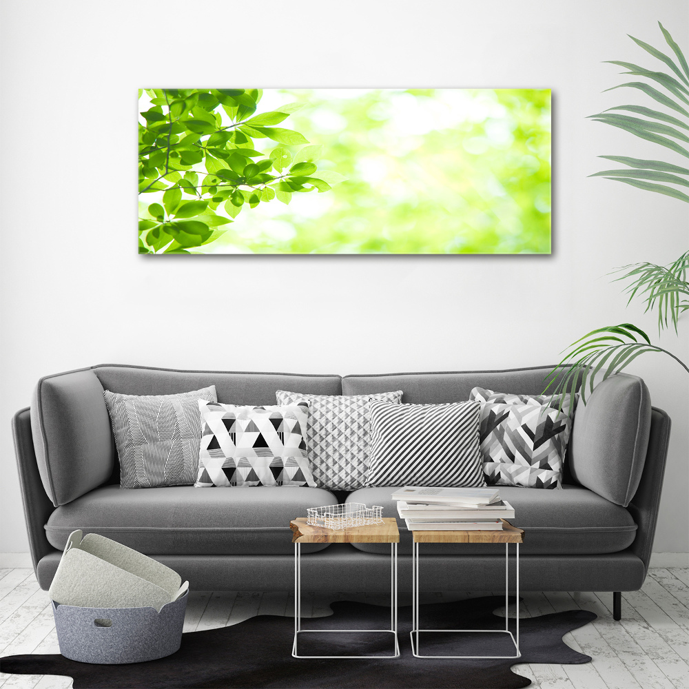 Tableau photo sur toile Feuilles