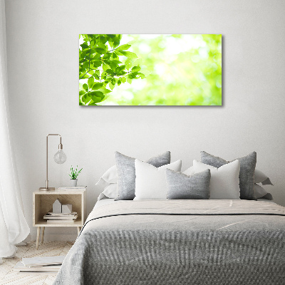 Tableau photo sur toile Feuilles