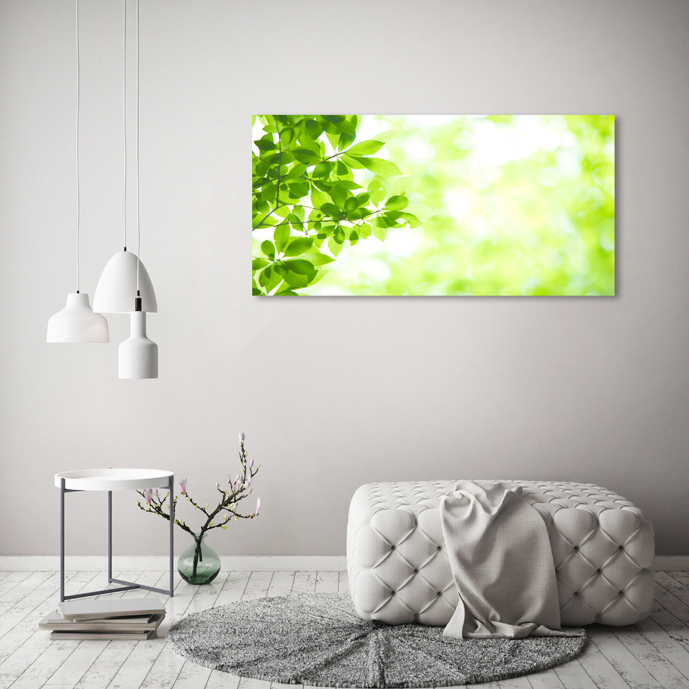 Tableau photo sur toile Feuilles