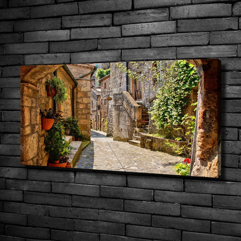 Tableau imprimé sur toile Ruelle de charme