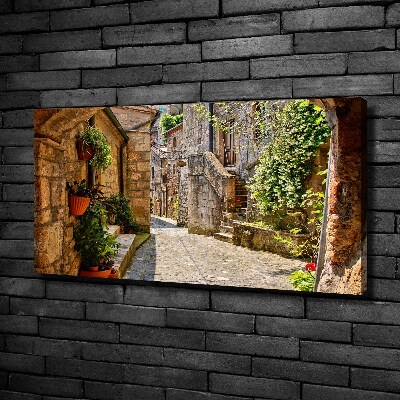 Tableau imprimé sur toile Ruelle de charme