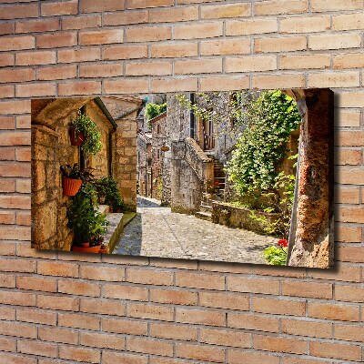 Tableau imprimé sur toile Ruelle de charme