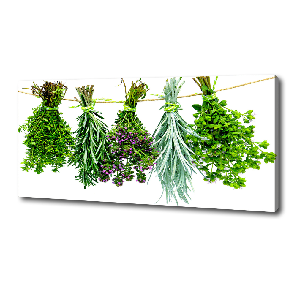 Tableau sur toile Herbes sur une ficelle