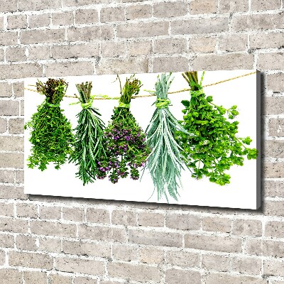 Tableau sur toile Herbes sur une ficelle