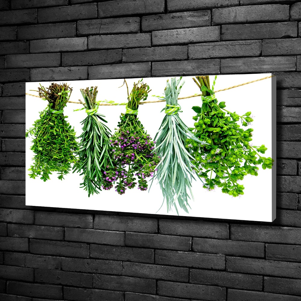 Tableau sur toile Herbes sur une ficelle