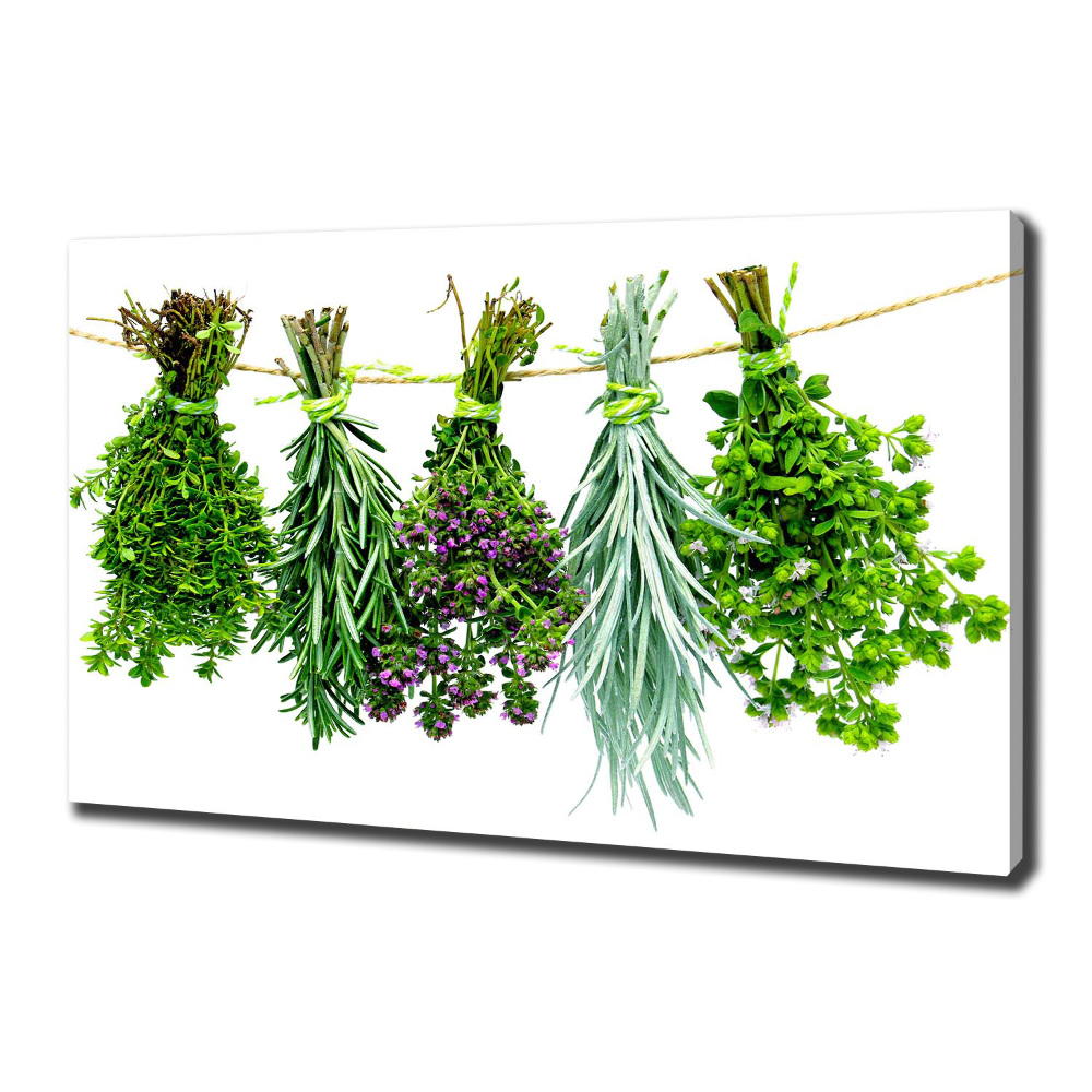 Tableau sur toile Herbes sur une ficelle