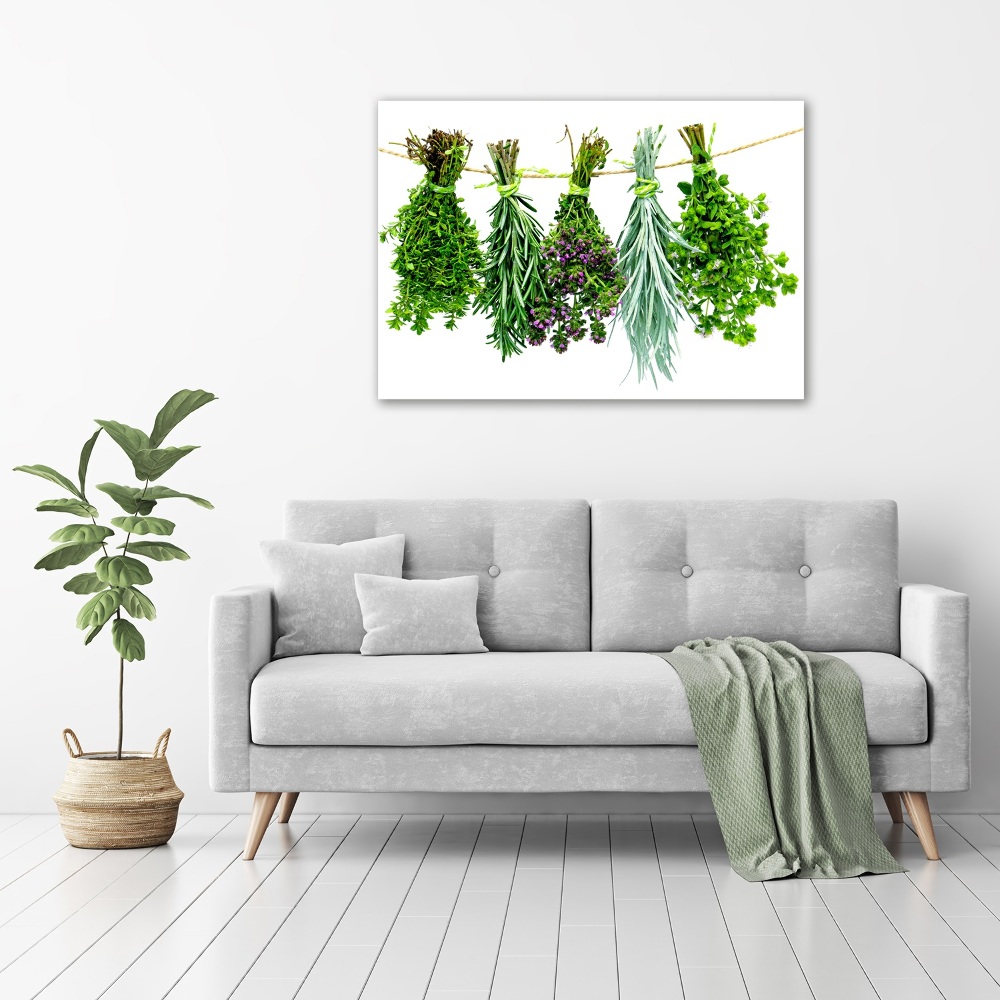 Tableau sur toile Herbes sur une ficelle