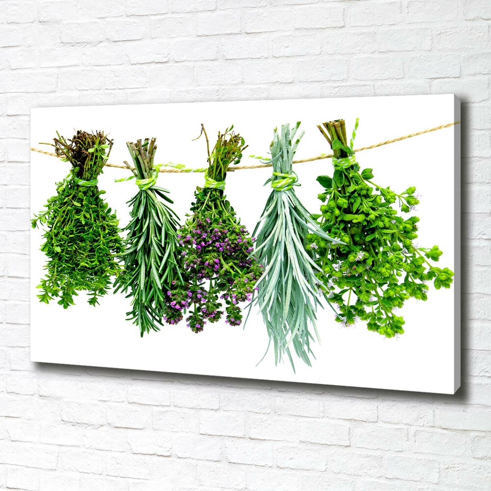 Tableau sur toile Herbes sur une ficelle