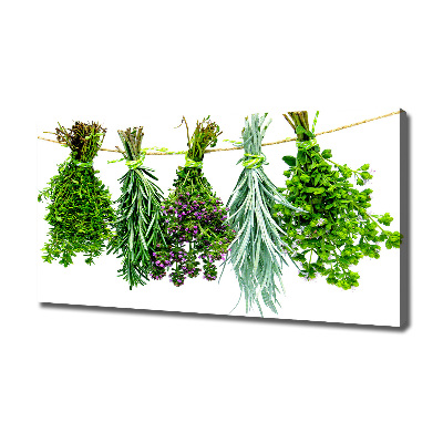 Tableau sur toile Herbes sur une ficelle