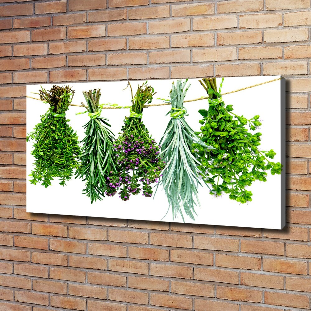 Tableau sur toile Herbes sur une ficelle