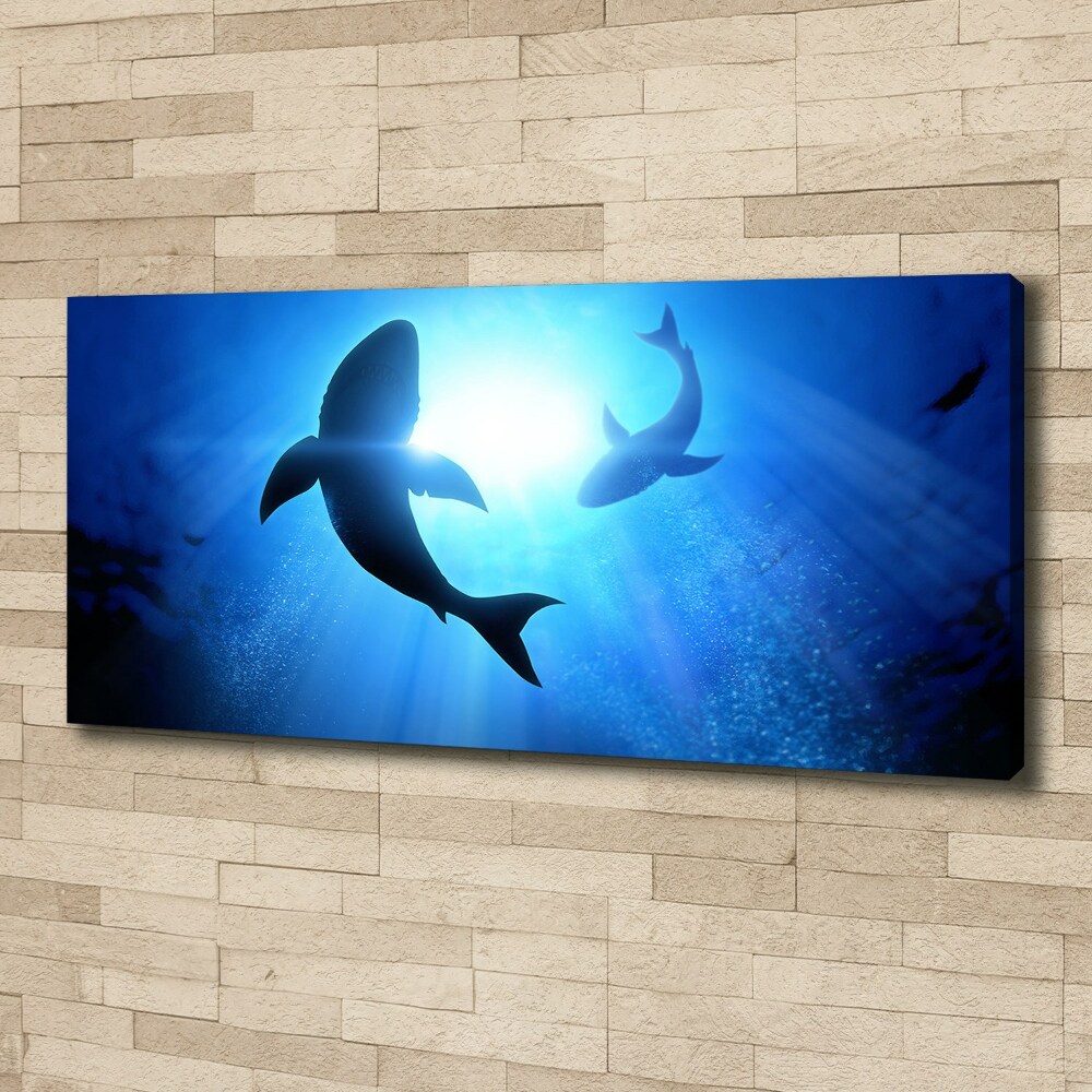 Tableau sur toile Deux requins