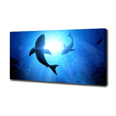 Tableau sur toile Deux requins