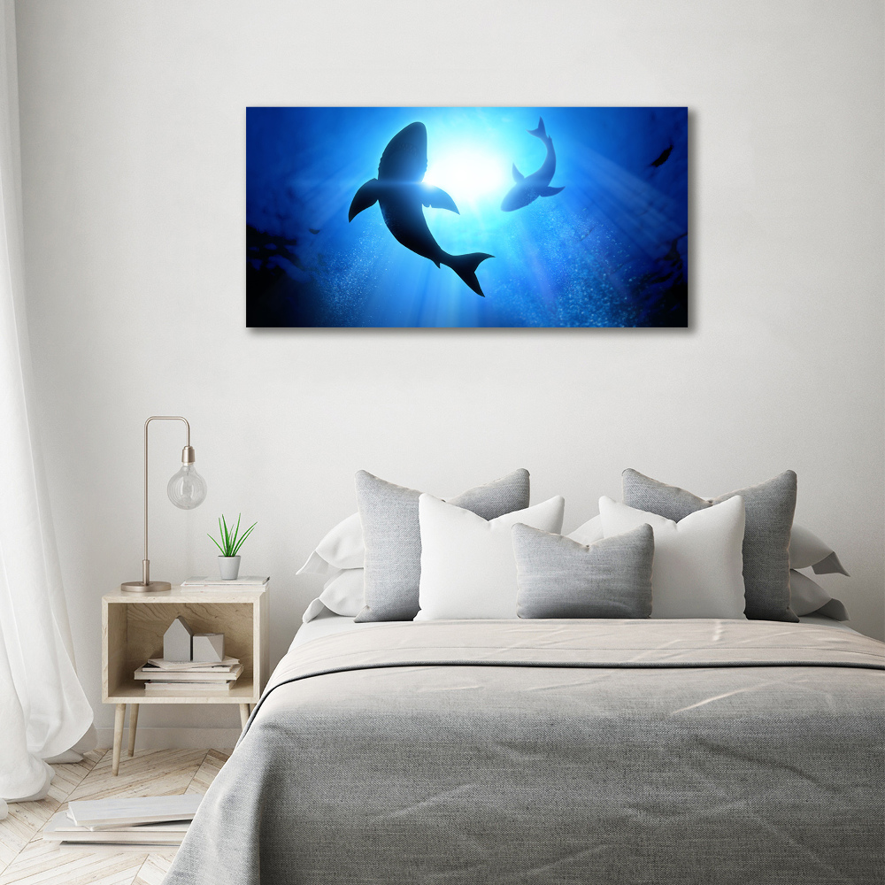 Tableau sur toile Deux requins