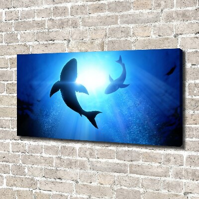 Tableau sur toile Deux requins