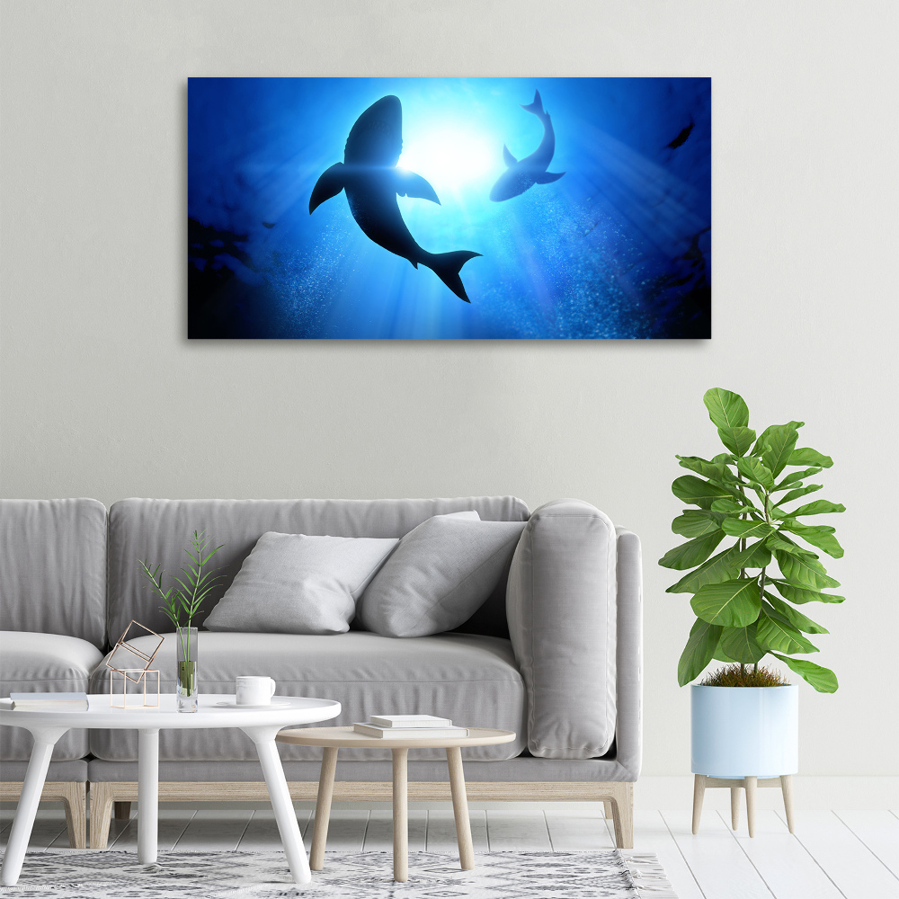 Tableau sur toile Deux requins