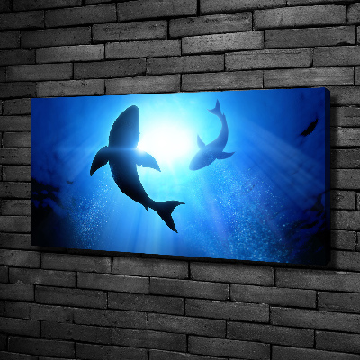 Tableau sur toile Deux requins