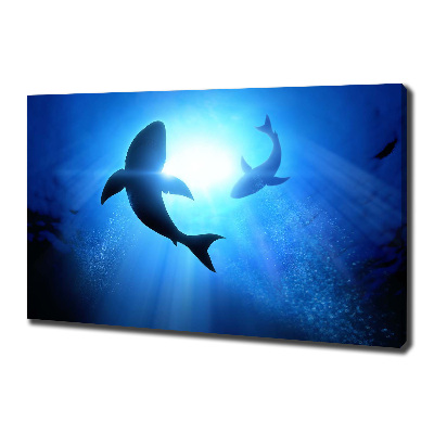 Tableau sur toile Deux requins