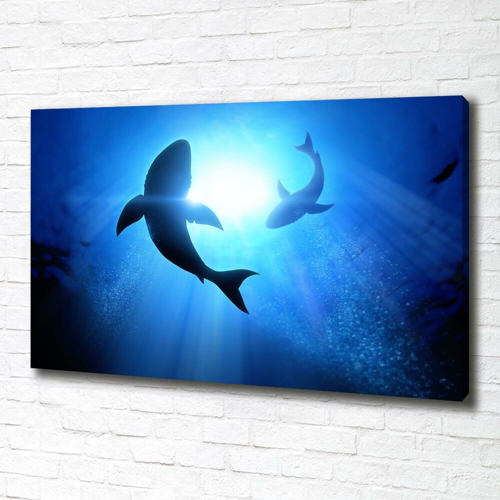 Tableau sur toile Deux requins