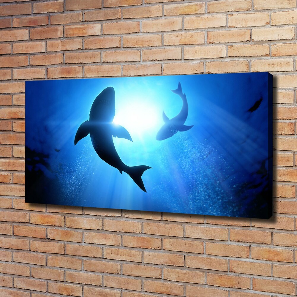 Tableau sur toile Deux requins