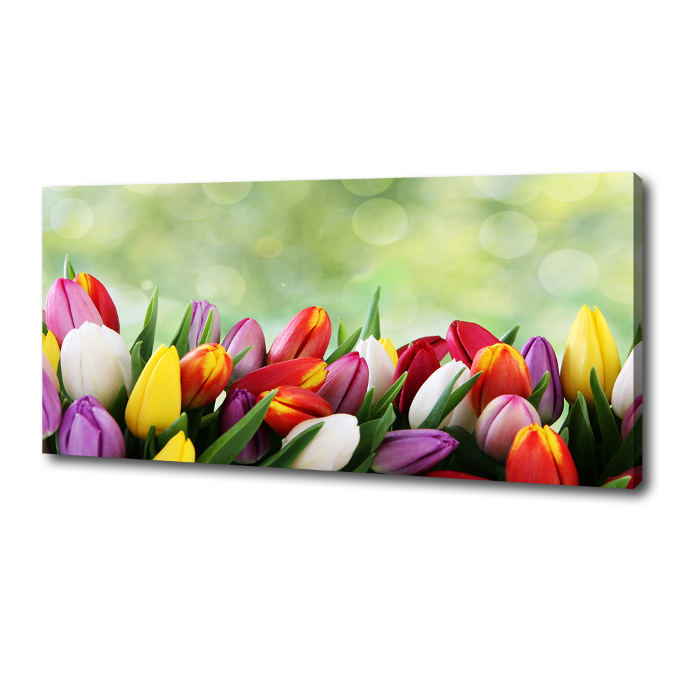 Tableau mural sur toile Tulipes colorées