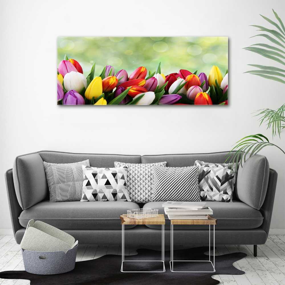 Tableau mural sur toile Tulipes colorées