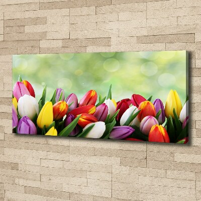 Tableau mural sur toile Tulipes colorées