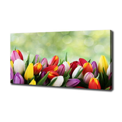 Tableau mural sur toile Tulipes colorées