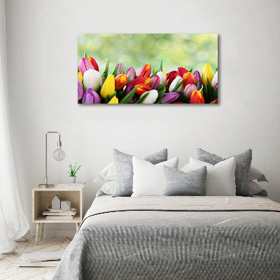 Tableau mural sur toile Tulipes colorées