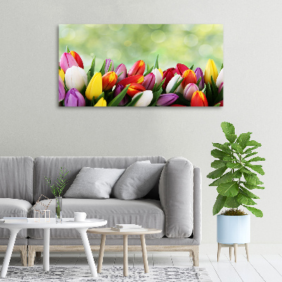 Tableau mural sur toile Tulipes colorées