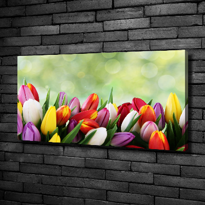 Tableau mural sur toile Tulipes colorées