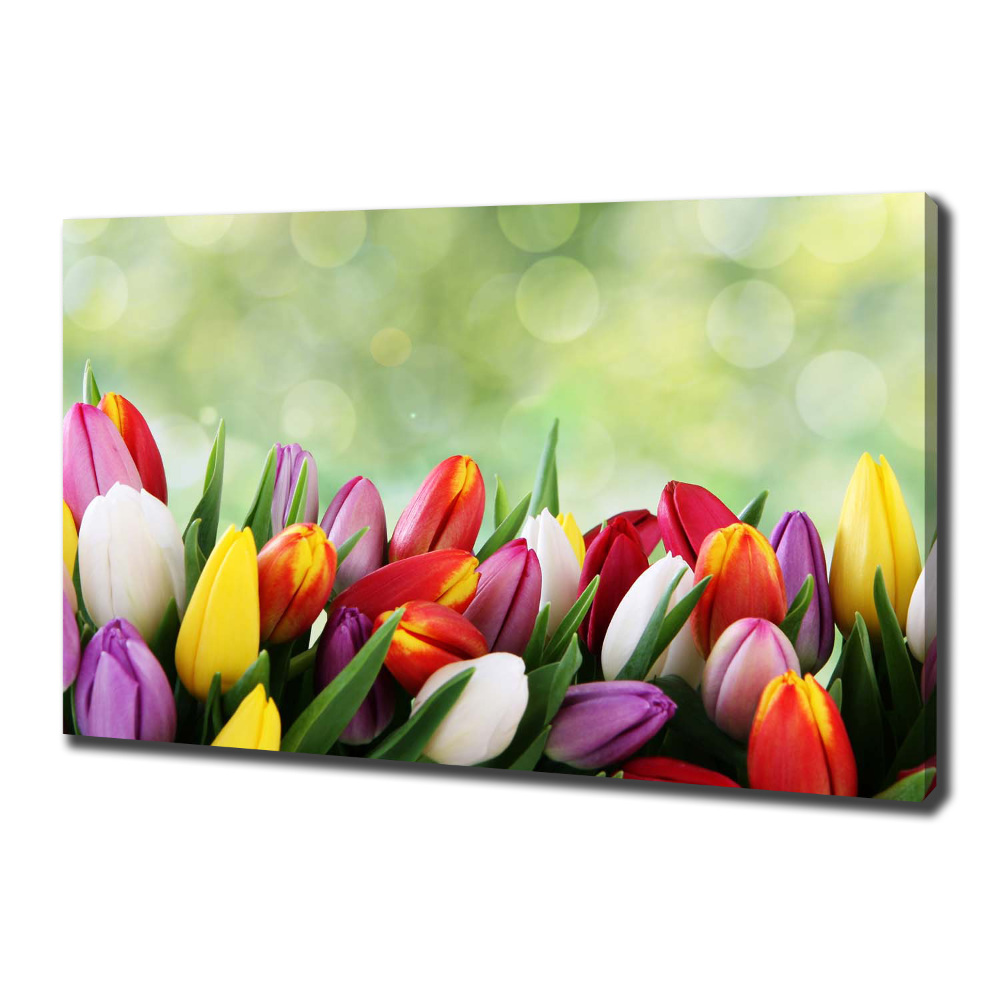 Tableau mural sur toile Tulipes colorées